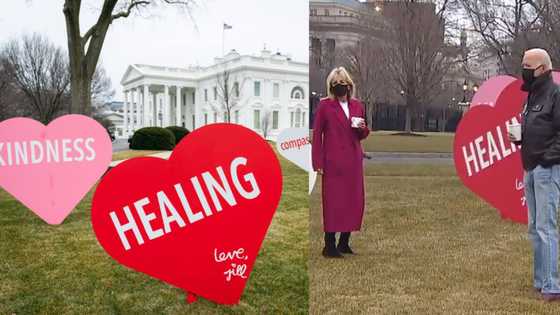 POTUS and FLOTUS Decorate White House Lawn with Hearts for Valentines Day