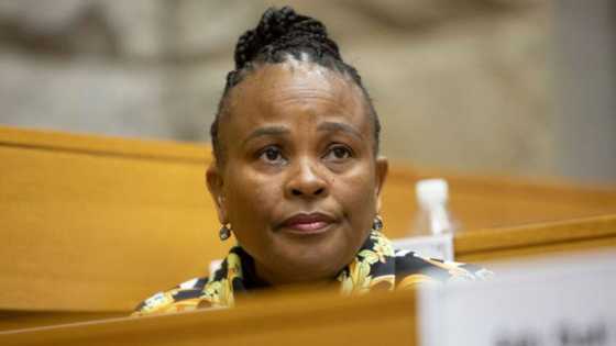 Witness says Busisiwe Mkhwebane was not a tyrant leader at work, SA reacts