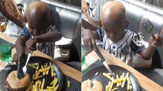 Woman shares little brother's dramatic use of fork and knife on his burger has Mzansi thoroughly amused