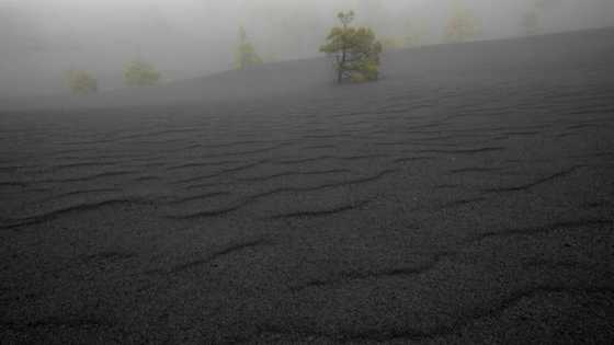 Spanish islanders struggle one year after volcanic eruption