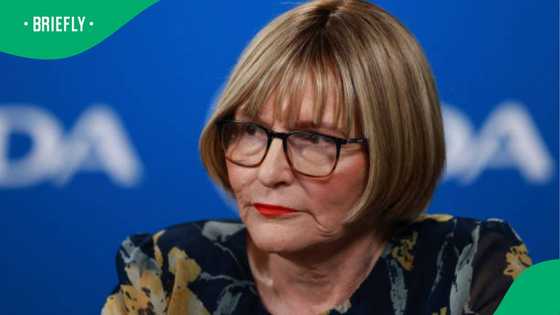 Helen Zille doubles down on criticism of former Ekurhuleni Municipal Manager's R3.5m outfit