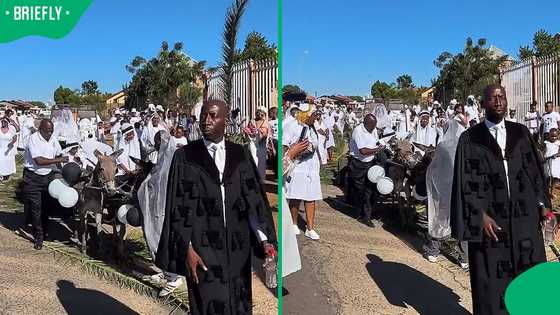 "Took it too far": Soshanguve church takes Palm Sunday too seriously with two boys on donkeys