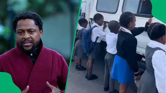 Mbuyiseni Ndlozi raises questions after clip of learners praying before boarding bakkie goes viral