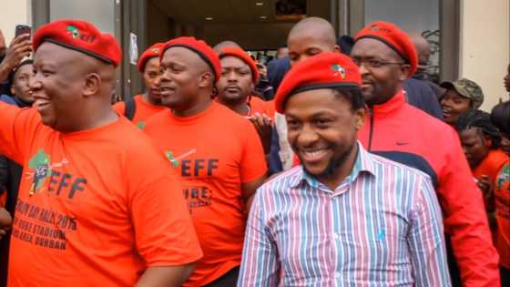10 best EFF songs