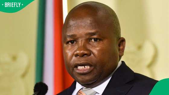 MK Party explains 'difficult' decision to remove Des Van Rooyen as Chief Whip, South Africans amused