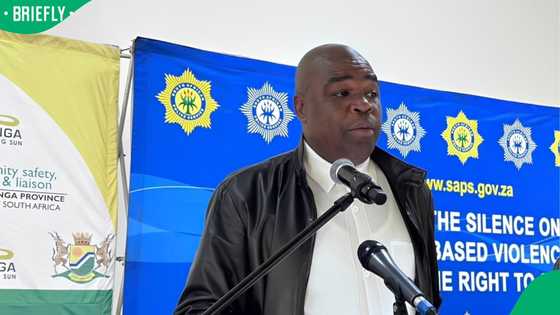 Mpumalanga MEC Jackie Macie tells police to fight back when confronted by armed criminals