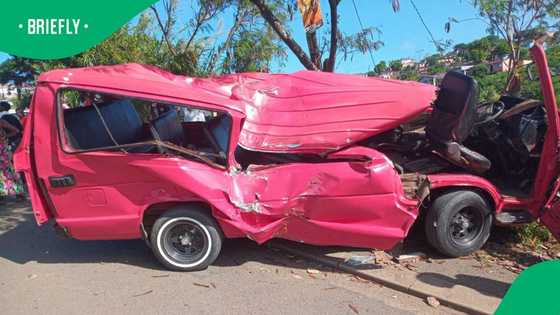 Taxi driver on the run after causing deadly scholar transport accident