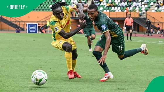 Broos reacts to Mofokeng’s absence as Bafana Bafana held by Zimbabwe