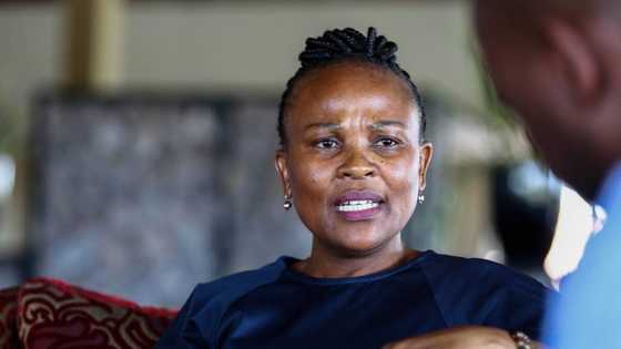 Supreme Court of Appeal dismisses Public Protector Busisiwe Mkhwebane's bid in Gordhan-Pillay report