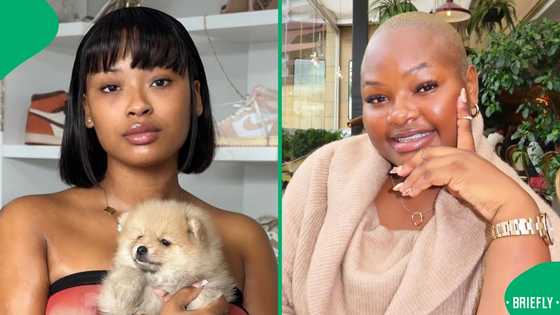 Cyan Boujee's performance at Grace Mondlana's year-end function goes viral