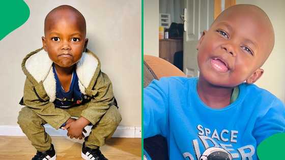 "He's a baby when it suits him": Zuluboy tells 'maparents' he's not a baby, SA in stitches