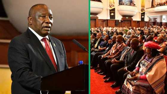 SONA 2024: Ramaphosa says employment increased from before pandemic, but could be better: Professor