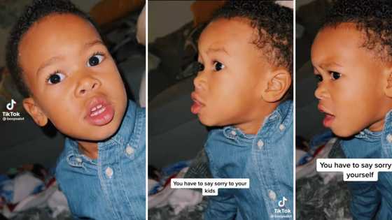 Wise little boy teaches parents and social media a lesson about humanity: "Say sorry to yourself"