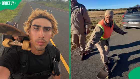 "Didn't ask for bribe, at least": US skater heading to Cape Town runs into traffic cops, SA loves it