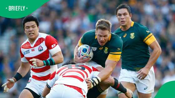 Former Springbok captain Jean de Villiers chases shoplifter, now tackles fraud with AI