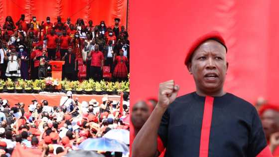 "Land and jobs": EFF launches people's manifesto ahead of local elections