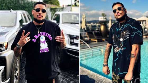 AKA's new album 'Mass Country's lyrics leave SA speculating about his killers, Mega's fans seemingly accuse Anele "Nelli" Tembe's family