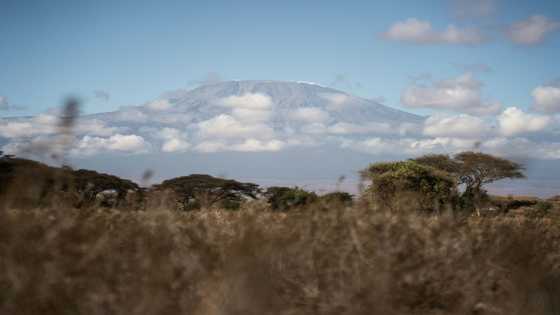 Tanzania deploys army to battle Mount Kilimanjaro fire
