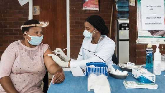 Covid 19: Experts say lockdown not necessary as 4th wave approaches, Gauteng figures rising