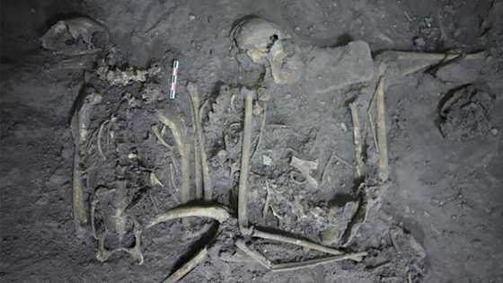 To strengthen ties, ancient Maya gifted neighbors a spider monkey