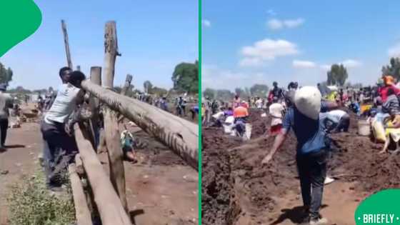 Payneville residents dug for gold after reported discovery