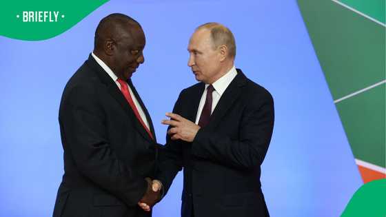 President Cyril Ramaphosa confirms phone call with Vladimir Putin, SA jokes about what was discussed