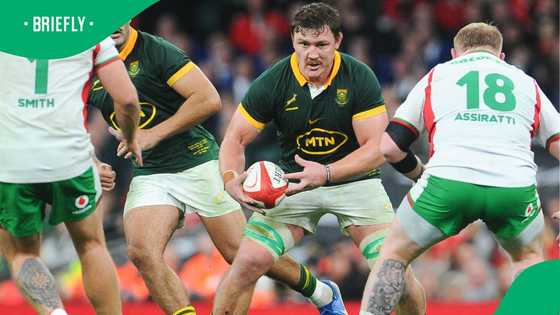 Jasper Wiese and Wife Anja Expect Baby No 2 as Springbok WAGs Celebrate