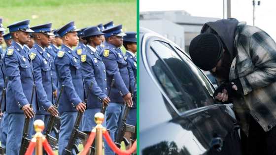 Mpumalanga communities accuse SAPS of being part of cross-border car smuggling syndicates