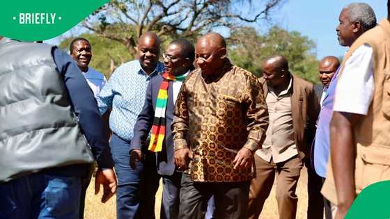 DA leader Geordin Hill-Lewis questions Cyril Ramaphosa's trip to Emmerson Mnangagwa's Precabe Farm