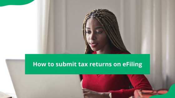 SARS eFiling for income tax return: how to file and submit in 2024?