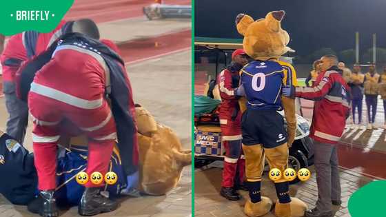 "I was screaming": UWC mascot sends crowd into panic after fake collapse during Varsity Shield game