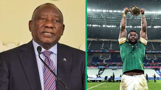 Springboks: Ramaphosa to address the nation, Mzansi demands public holiday