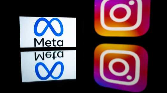 Meta shouldn't force users to pay for data protection: EU watchdog