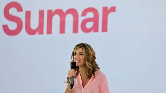 Spain labour minister launches new political movement