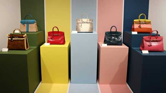 Hermes faces US lawsuit over 'refusal' to sell Birkin bag