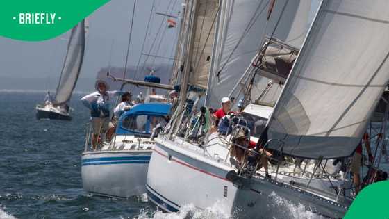 Cape2Rio heroes rescued after yacht disaster on return journey