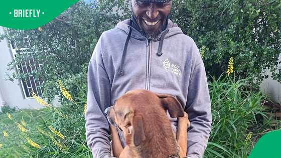 “I would rather die”: Man’s desperate fight to bring his dog home melts hearts