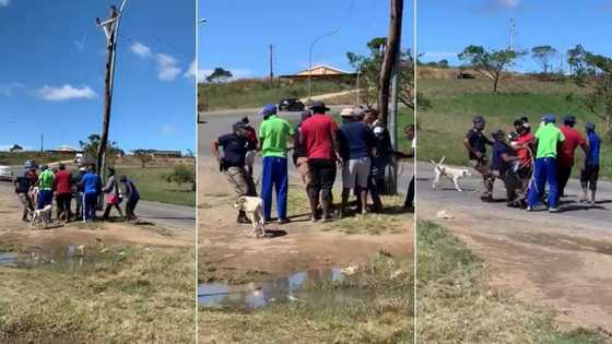 South Africans commend brave police for winning cable theft war