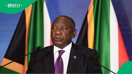How Ramaphosa chose Roelf Meyer as South Africa's new ambassador to the United States