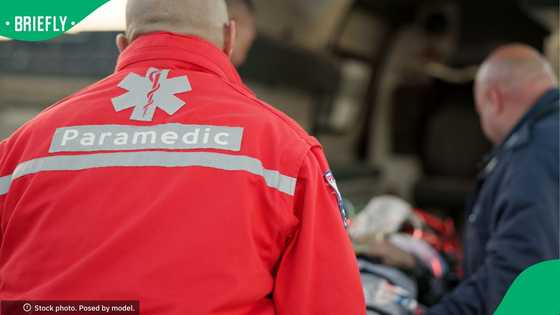 N1 crash leaves 21 dead as two minibus taxis and station wagon collide in Western Cape