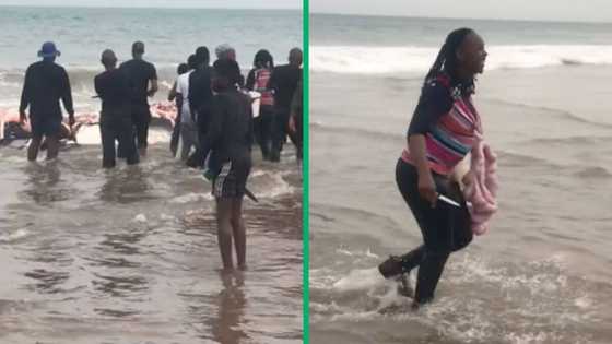 Durban residents cut up whale carcass on beach, netizens react: "Pray for KZN"