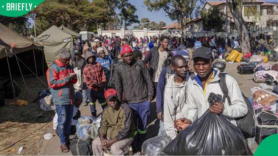 Undocumented Zimbabweans and Malawians vow never to return to South Africa, citizens applaud the news