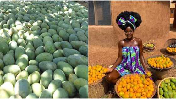 Stunning pic of lady posing with mangoes get men drooling, many want to meet her