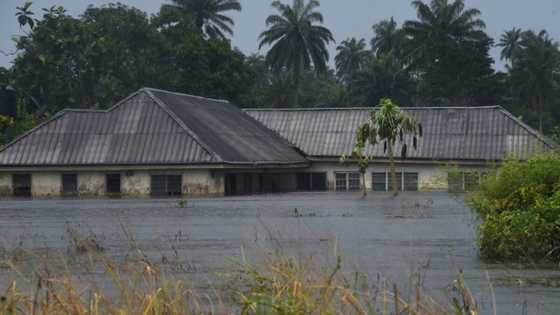 Climate change fuelled rains behind deadly Nigeria floods: study
