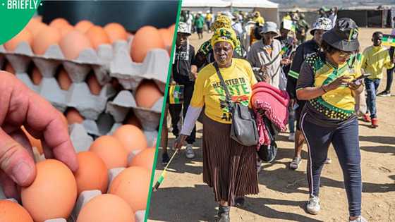 ANC egg handouts leave Mzansi divided as election campaign heats up
