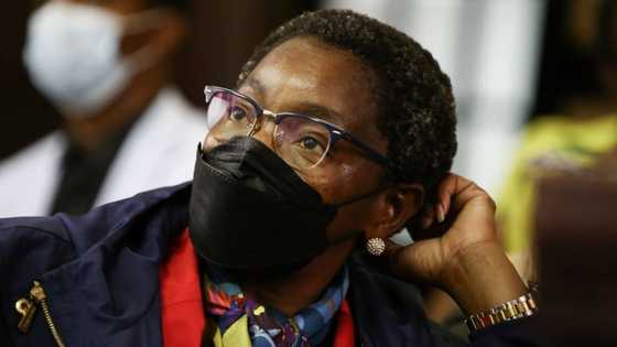 South Africans react to ANCWL's Bathabile Dlamini's sentence, facing 4 years in jail or R200k fine