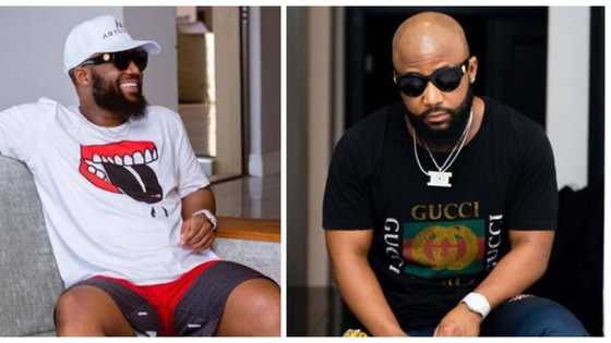 Cassper Nyovest's opinion on education divides Mzansi: "Both is best"