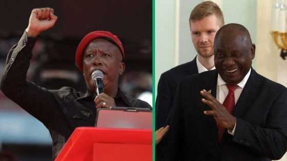 Presidential aspirations: Malema threatens to jail Cyril Ramaphosa for alleged crime if EFF wins power