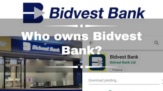 Is the owner of Bidvest Bank the same as Servest?