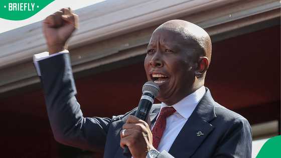 Julius Malema says he will not be intimidated by young Afrikaner boys following court appearance